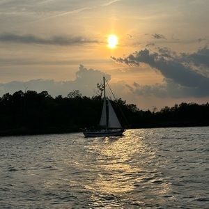 Meet your Posher, Claire